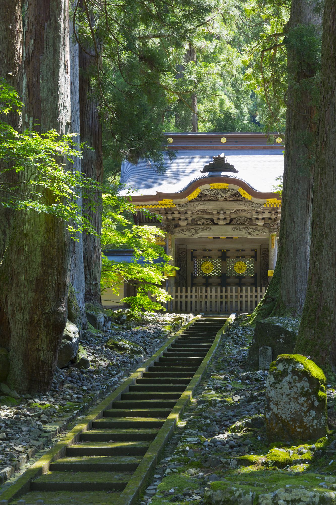 福井にもこんなところが 永平寺 の10万坪の紅葉に酔いしれる Retrip リトリップ