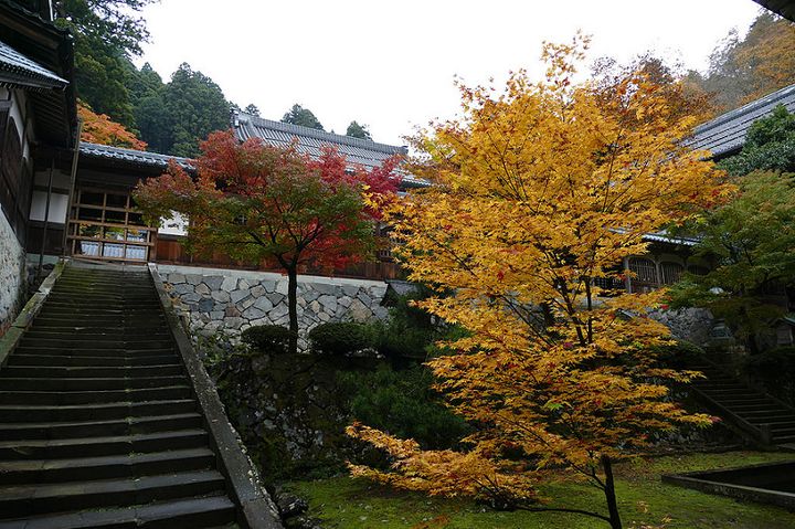 福井にもこんなところが 永平寺 の10万坪の紅葉に酔いしれる Retrip リトリップ