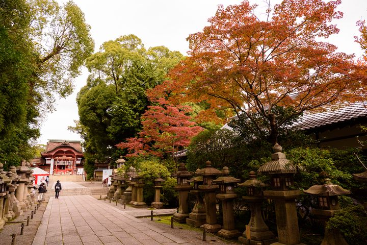 紅葉の中を走り抜けるケーブルカー 京都 石清水八幡宮の紅葉が絶景 Retrip リトリップ