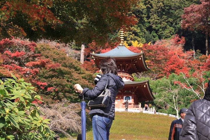 大阪の紅葉の名所はココ 勝尾寺の紅葉が絶景すぎるので絶対行くべき Retrip リトリップ