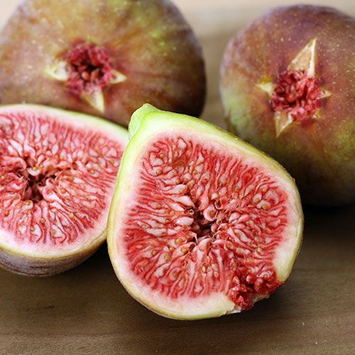 島根でフルーツを食べて美味しい体験をしよう おすすめの果物狩り5選 Retrip リトリップ