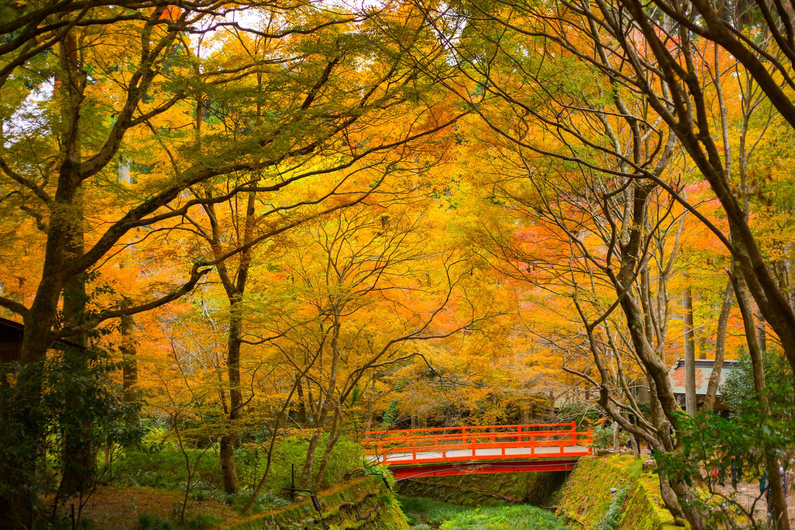 メイン画像 秋景色とお地蔵さんのコラボが可愛い 京都 三千院 の紅葉は一味違うんです Retrip リトリップ