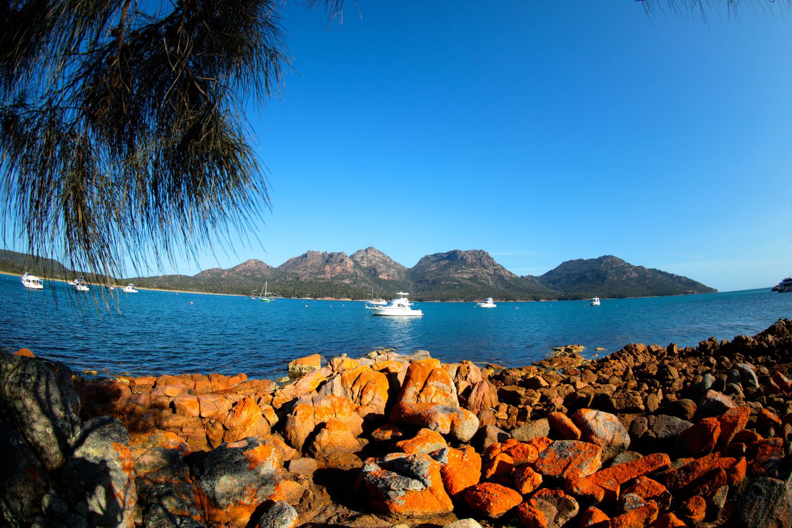 世界で最もピュア クリーンな島 オーストラリア南東部 タスマニア島のおすすめ観光スポット15選 Retrip リトリップ