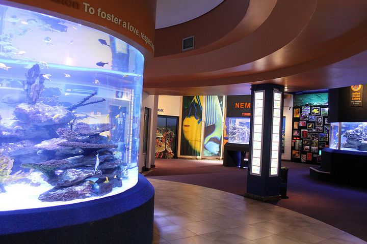 インド洋と大西洋が交わる町の水族館です