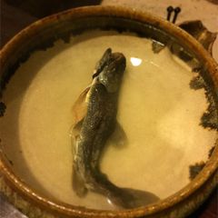 生きたまま喰らう幸せ 関東で海鮮の 踊り食い ができるお店7選 Retrip リトリップ