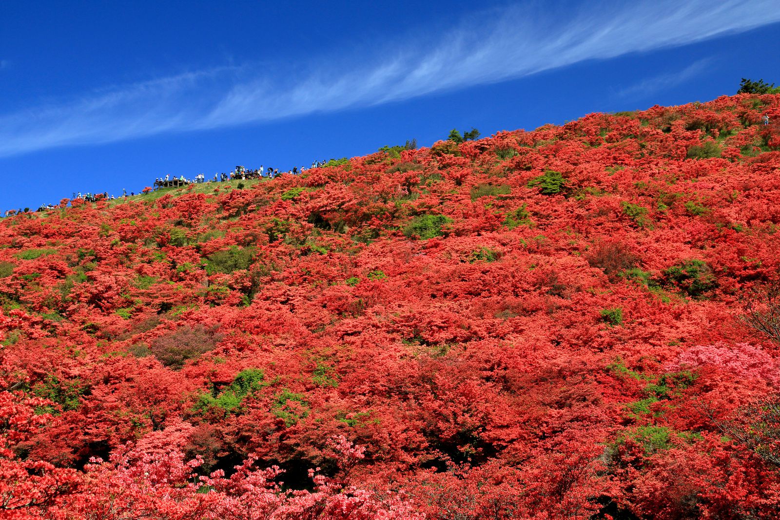 そこには美しい風景が 近畿のおすすめ登山スポットランキング Best15 Retrip リトリップ