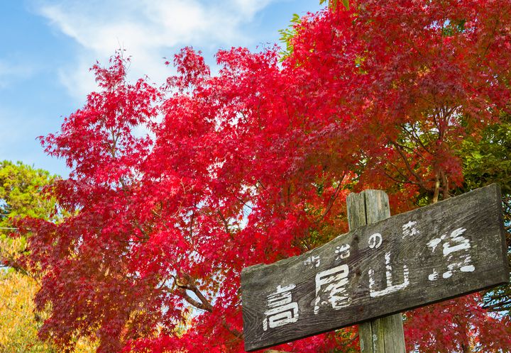 秋のデートは紅葉できまり 東京都内の紅葉デートスポットtop7 Retrip リトリップ