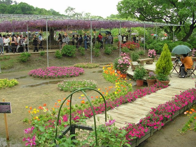 １年中楽しめる あしかがフラワーパーク は国内有数の花の楽園 Retrip リトリップ