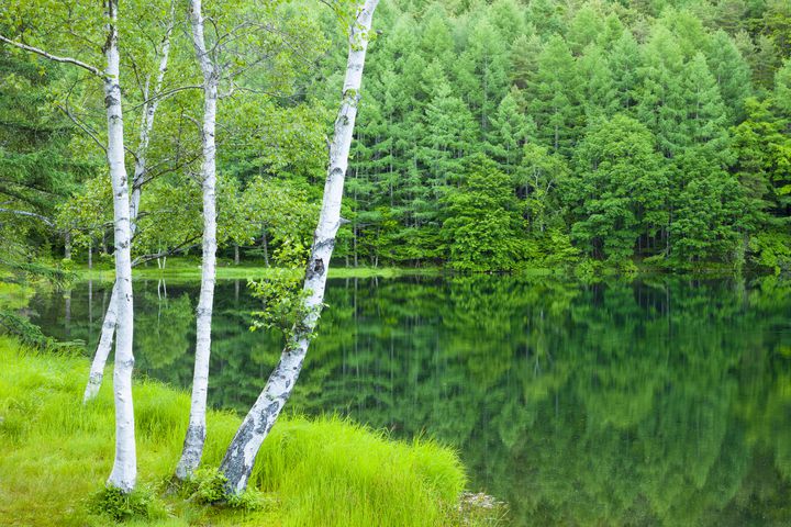 絶景を映し出す天然の鏡に感動。日本国内の “池が魅せる7つの奇跡”