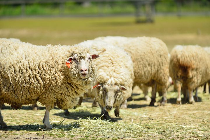 琵琶湖だけじゃない 子供と行きたい滋賀の公園15選 Retrip リトリップ