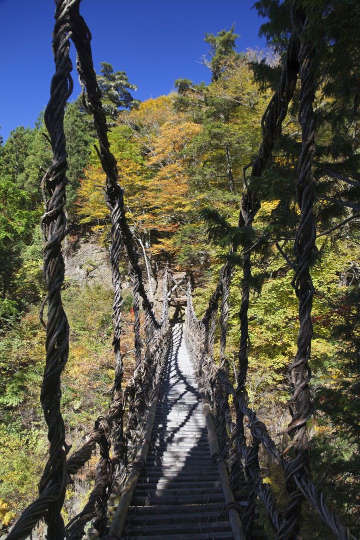 日本一怖い吊り橋！徳島県「奥祖谷（おくいや）の二重かずら橋」がワイルドすぎる