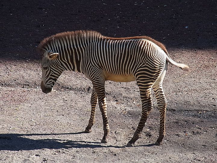 子供と楽しめる ドライブで行ける北陸地方の遊び場15選 Retrip リトリップ