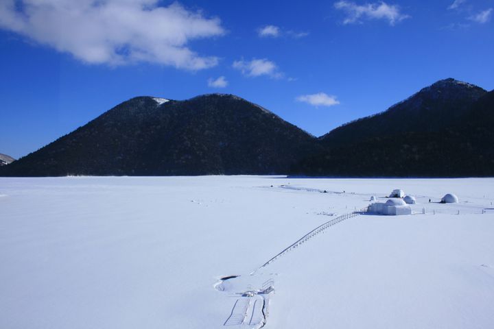 ※画像はイメージです