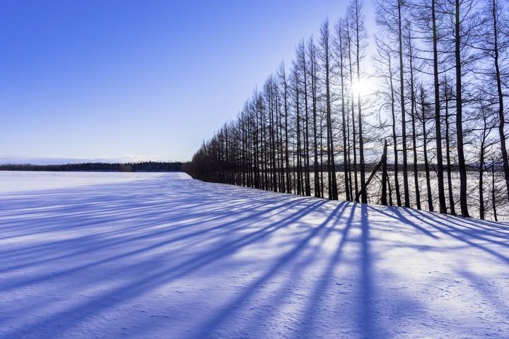 ※画像はイメージです