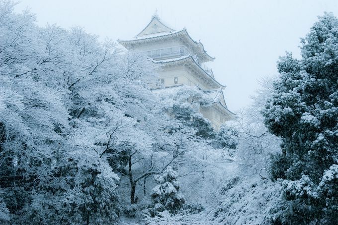 こんな絶景知ってる 知られざる日本の 冬の絶景 7選 Retrip リトリップ