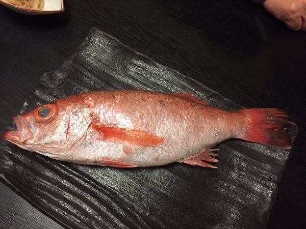 かなり予約が取りづらい 銀座の高級魚 のどぐろ 専門店がすごすぎる Retrip リトリップ