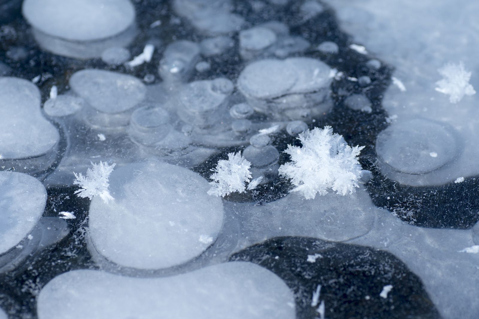 3枚目の画像 一面の雪の花は圧巻 北海道阿寒湖で見られる フロストフラワー とは Retrip リトリップ