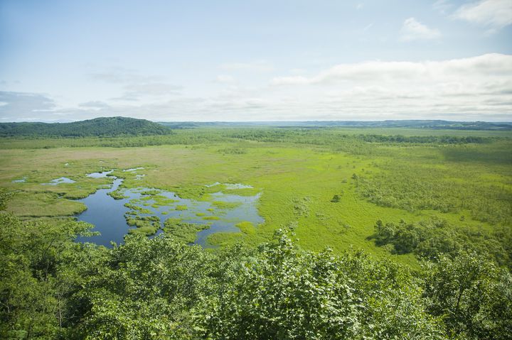 これぞ大自然の宝庫！あなたが北海道・釧路湿原に行くべき5つの理由