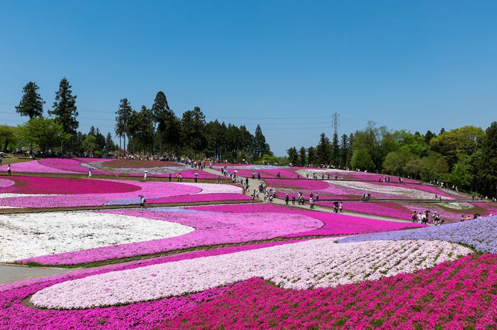 ずっとお花に囲まれて過ごしたい 関東のフラワースポット春夏秋冬12選 Retrip リトリップ