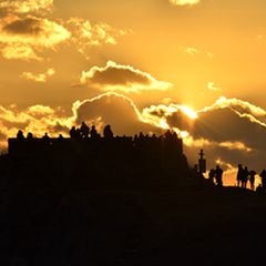 18471702939a1-6da0-466b-a33a-