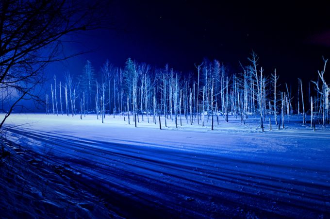 絵の具をそのまま水に溶かしたようなその美しコバルトブルーは、純白な雪と最高にマッチします。まさに北海道の冬ならではの絶景がそこに広がります。