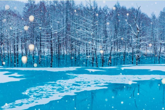 冬しか見られない特別な絶景!北海道で行くべき至極の観光