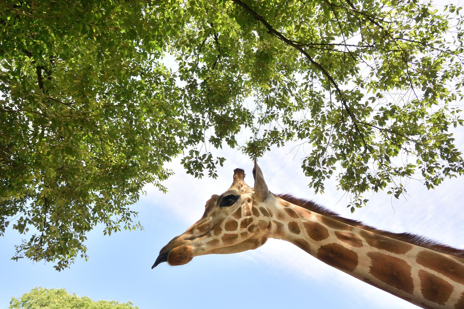 動物たちとたくさん触れ合いたい 栃木県内の人気の動物園5選 Retrip リトリップ