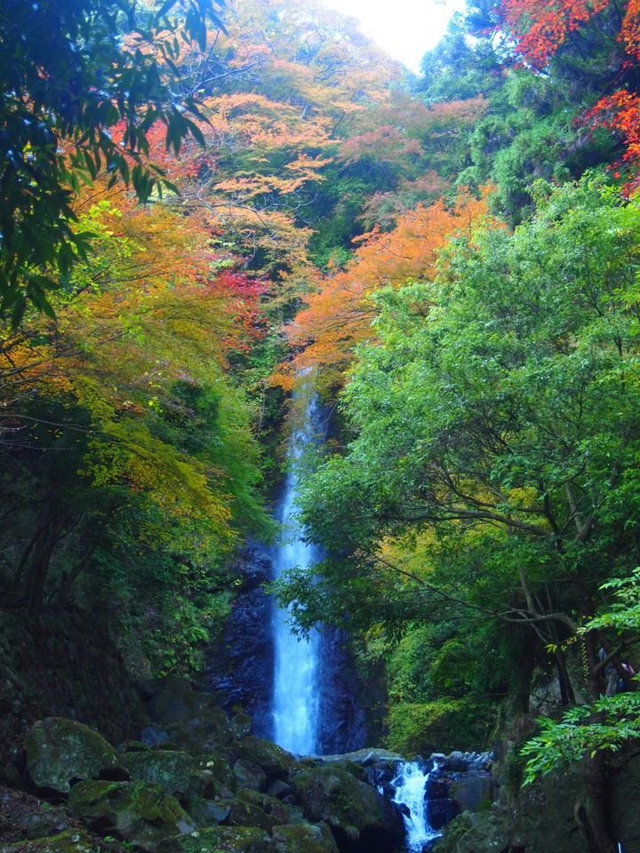 紅葉の季節も岐阜県がアツい 岐阜県の人気紅葉スポット10選 Retrip リトリップ