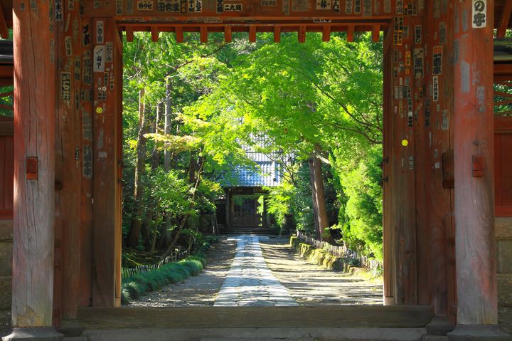 初夏を彩る紫陽花とともに。「鎌倉五山」を巡る“1日御朱印集めプラン”はこれだ