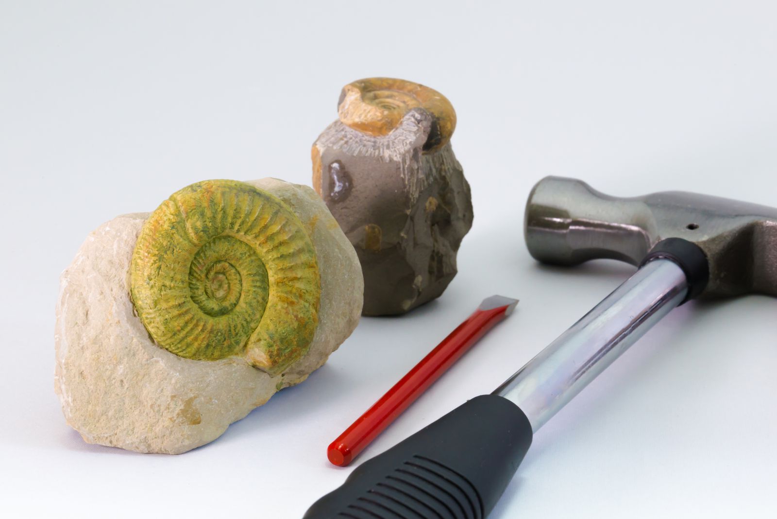 歴史的発見ができるかも 日本国内で 化石掘り体験 ができる場所7選 Retrip リトリップ