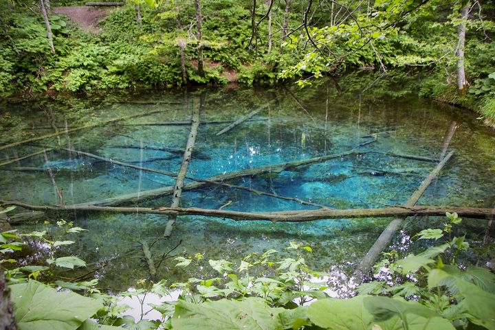 死ぬまでに一度は見たい！思わず感動する日本国内の“神秘的な池”5選