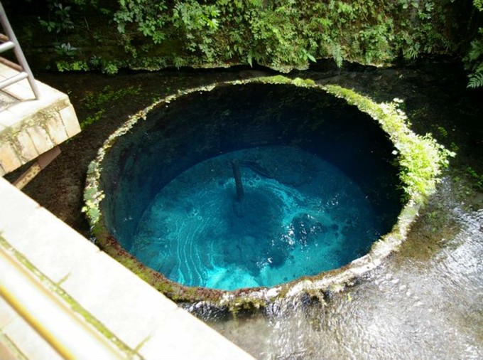 都心からたったの２時間 日本三大清流の一つ 柿田川湧水群 の透明度がスゴい Retrip リトリップ