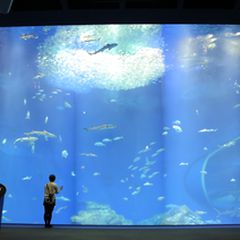 雨の日だからこそ楽しみたい 茨城のデートスポット選 Retrip リトリップ