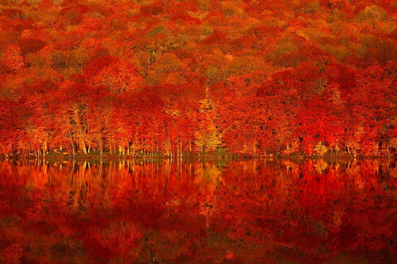 鏡張りの様はまるでウユニ塩湖！青森県「蔦七沼」の紅葉が美しすぎる | RETRIP[リトリップ]