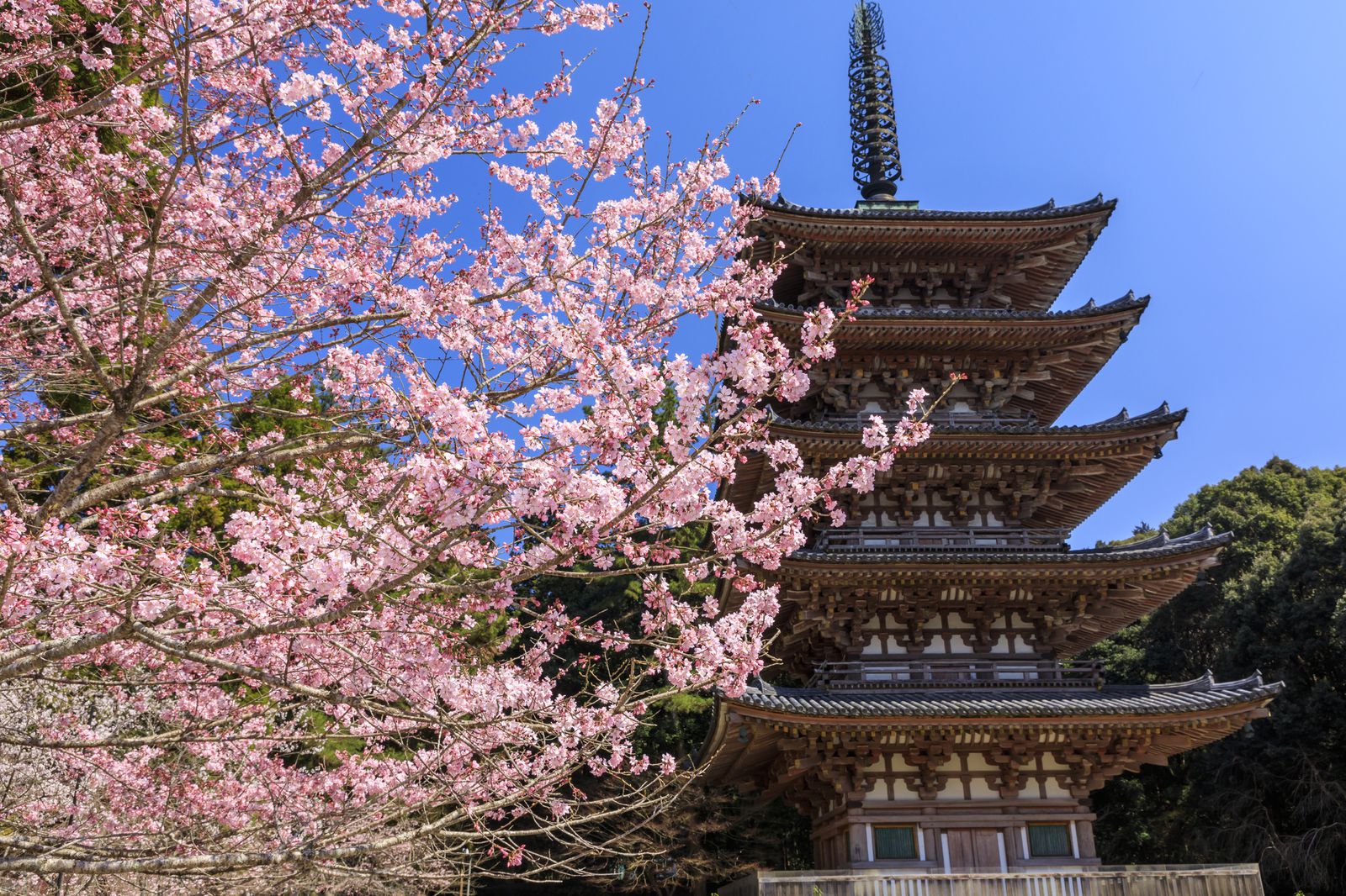 年 関西お花見スポット完全版 府県別 関西の桜名所 総まとめ30選 Retrip リトリップ