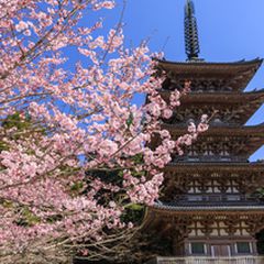 京都観光を最高にエンジョイできる 車で巡る京都の観光地5選 Retrip リトリップ