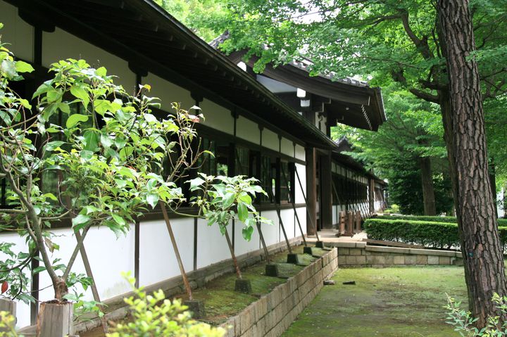 永平寺と並ぶ曹洞宗の大本山!「総持寺」の魅力 | くふうトリップ
