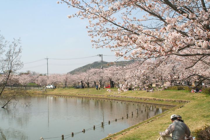 19年 春真っ盛りに行く 茨城県のオススメお花見スポットtop10 Retrip リトリップ