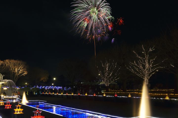 新宿からたったの30分 四季折々の絶景を楽しめる 国営昭和記念公園 Retrip リトリップ