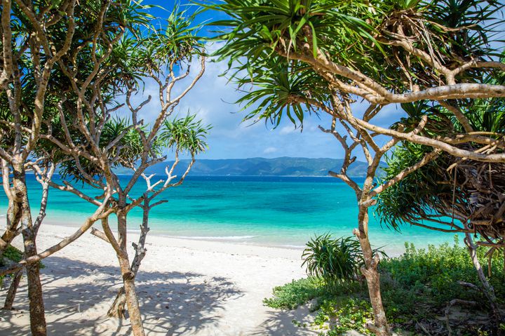 まだまだ夏が恋しいあなたへ！「東洋のガラパゴス」奄美大島の絶景スポット10選