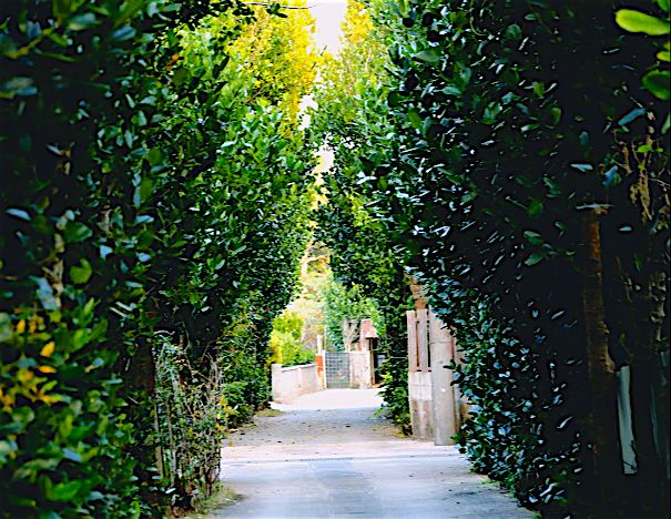 沖縄を愛する者が教える 沖縄 今帰仁 で行くべき 絶景カフェ 6選 Retrip リトリップ