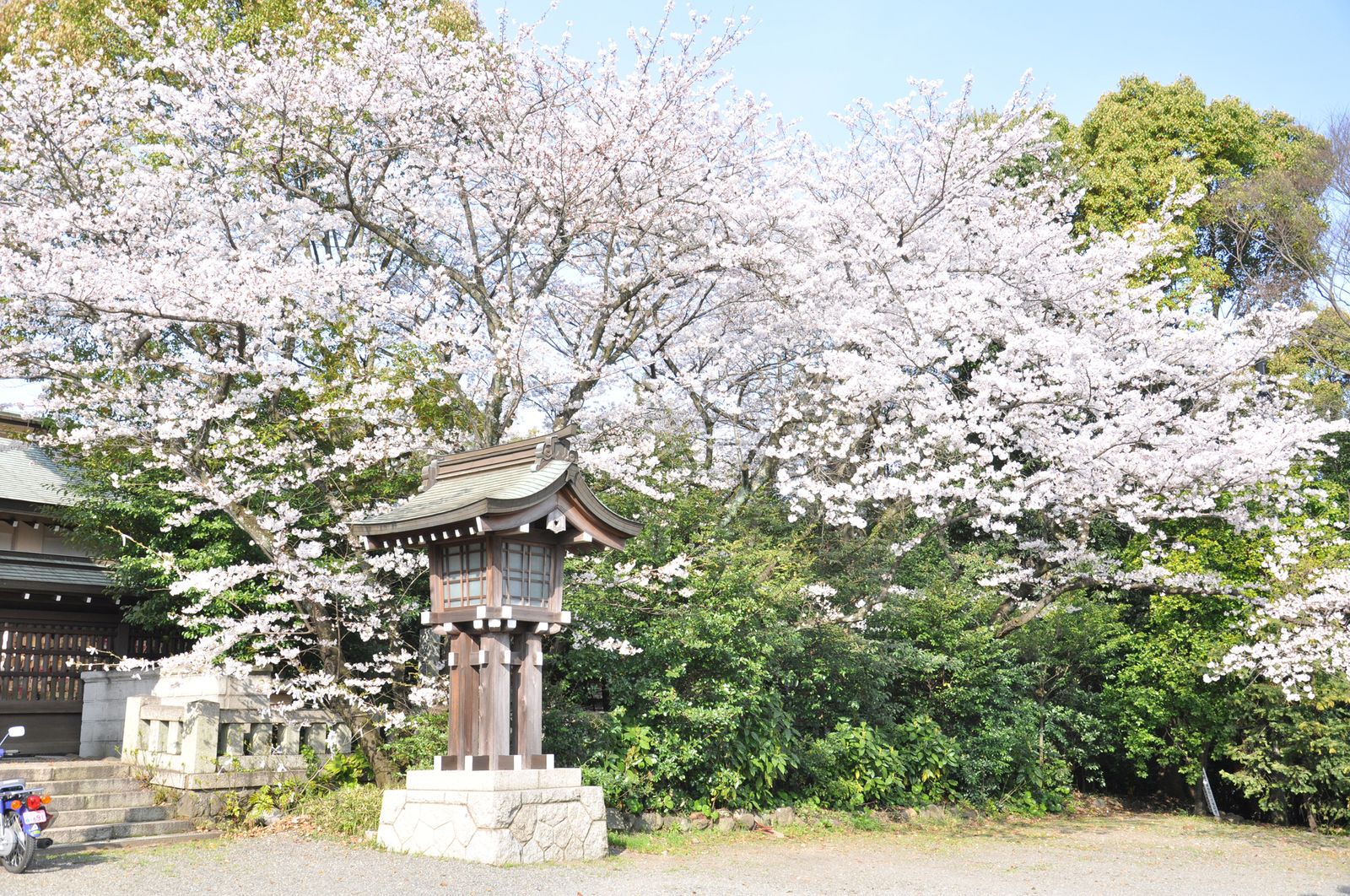 桜の絶景を楽しむならココ 大分県でおすすめのお花見スポット6選 Retrip リトリップ