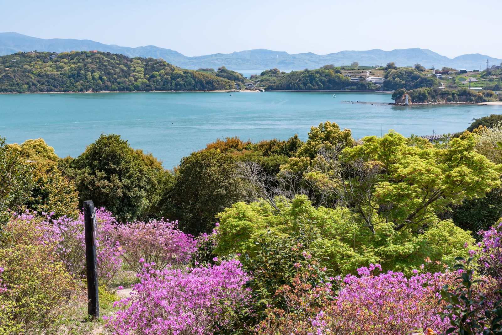 27806c0a5ceb4-f500-45dc-8291-