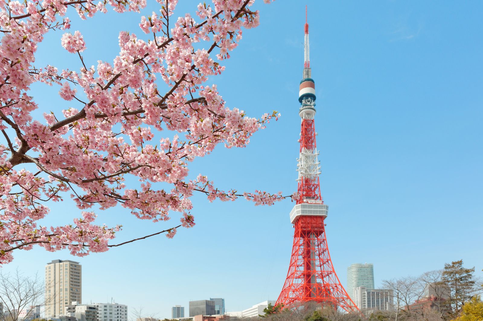 18年 都内で気軽に桜を満喫 東京都のおすすめお花見スポット10選 Retrip リトリップ