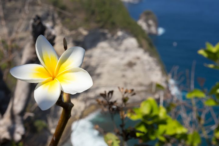 想像を絶する美しさ！バリ島からたった1時間の秘境離島「ペニダ島」とは