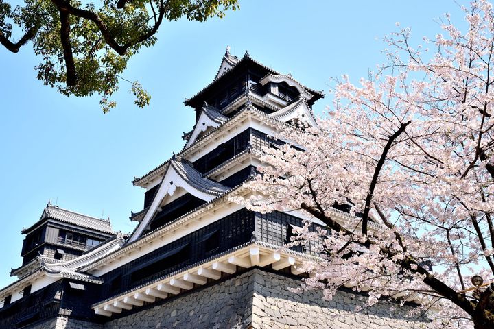 くまモンと桜を見に行こう 熊本県のおすすめ お花見スポット Best8 Retrip リトリップ