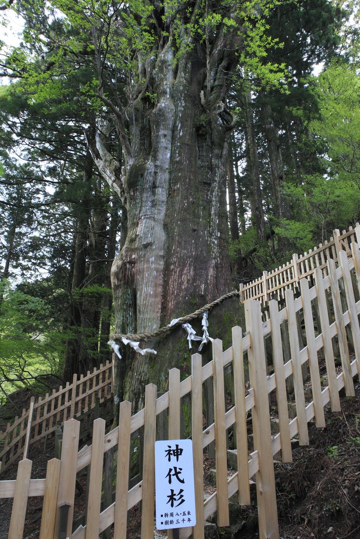 行けるのは神様に呼ばれた人だけ 超パワースポット 玉置神社 とは Retrip リトリップ