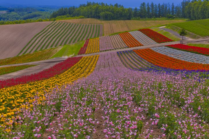 この春は絶景探しの旅へ 春におすすめする 日本全国の絶景 選 Retrip リトリップ