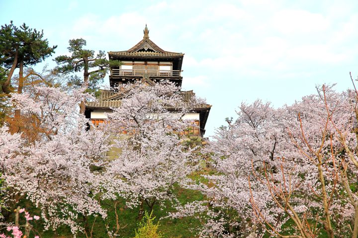 死ぬまでに絶対見たい！美しすぎる47都道府県“桜の名所”総まとめ 