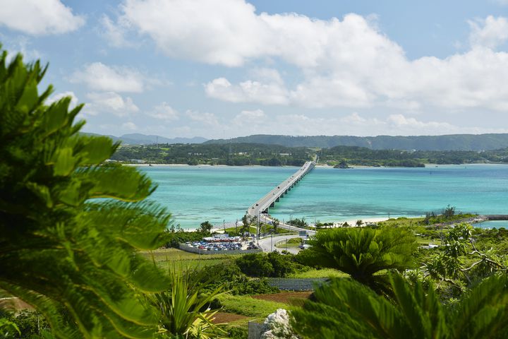 初めての沖縄北部・やんばるで絶対にやるべき観光おすすめ10選